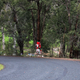 A memorial site for Peter Brock, the legendary racer who was killed in a different Targa Australia Championship event.